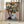 Tablou înramat „Twiggy surprise” de Frida Floral Studio