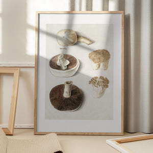 Tablou înramat „Common Meadow Mushroom, Agaricus Campestris Standing” de Anselmus Boëtius De Boodt
