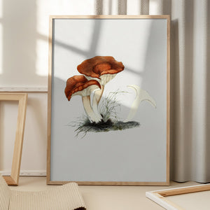 Tablou înramat „Hand Drawn Rufous Milkcap Mushroom” de Biodiversity Heritage Library