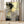 Tablou înramat „royal gold-1” de Sally Ann Moss