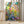 Tablou înramat „Brilliant Bloom Scape” de Dorothy Fagan