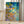 Tablou înramat „Vibrant Reef Dream” de Dorothy Fagan