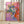 Tablou înramat „Vibrant Petals” de Dorothy Fagan