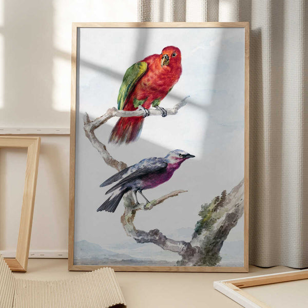 Tablou înramat „Two Birds, Including a Red Green Parrot” de Aert Schouman