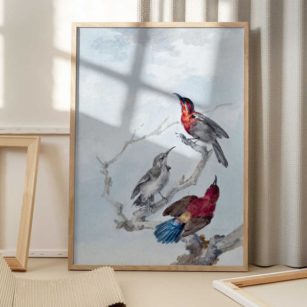 Tablou înramat „Three Crimson Sunbirds” de Aert Schouman