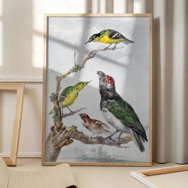Tablou înramat „Four Different Birds On a Branch” de Aert Schouman