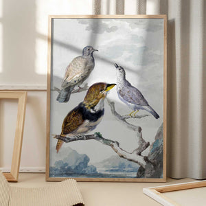 Tablou înramat „Three Birds, Two Inca Pigeons and a Collared Bearded Cuckoo” de Aert Schouman
