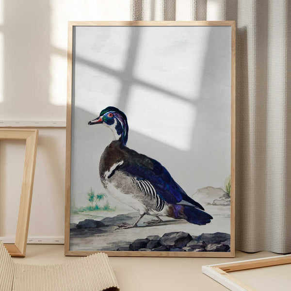 Tablou înramat „A Duck” de Aert Schouman