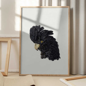 Tablou înramat „Head of a Cockatoo” de Aert Schouman