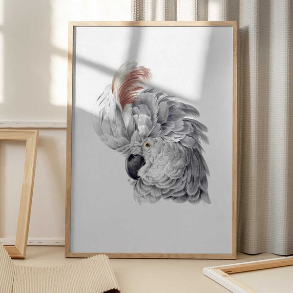 Tablou înramat „Cockatoo Head” de Aert Schouman