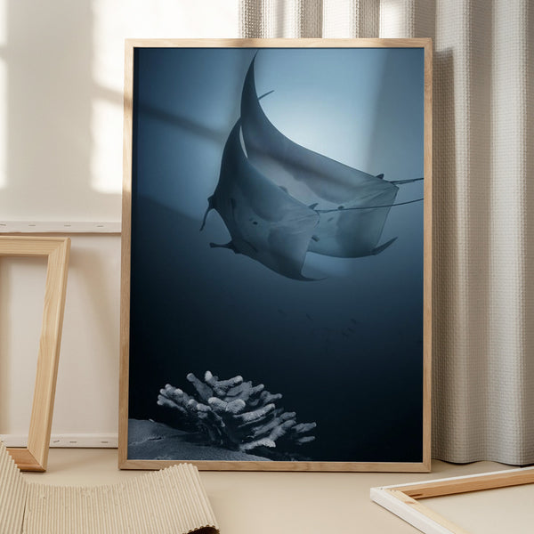 Tablou înramat „Sonata” de Andrey Narchuk