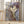 Tablou înramat „Golden Veins” de Alevtina Shelest