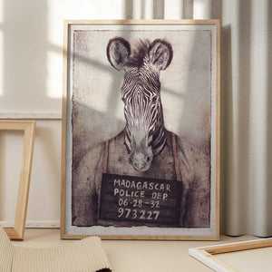 Tablou înramat „Zebra Mugshot Mystery” de Mike Koubou