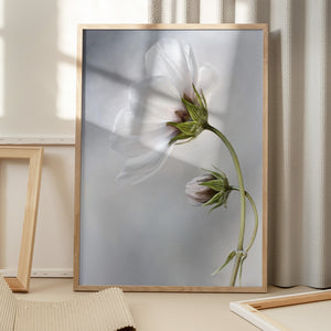 Tablou înramat „Heavenly Cosmos” de Mandy Disher