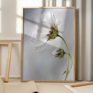Tablou înramat „Heavenly Cosmos” de Mandy Disher