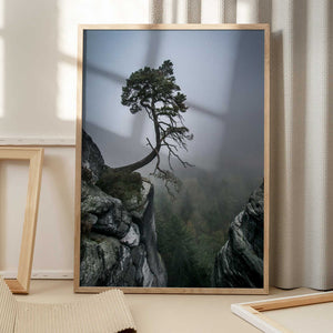 Tablou înramat „Against the Odds” de Andreas Wonisch