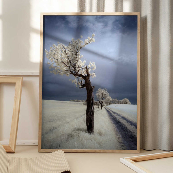 Tablou înramat „IRenka” de Piotr Krol (Bax)