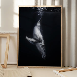 Tablou înramat „Black Whale” de Barathieu Gabriel