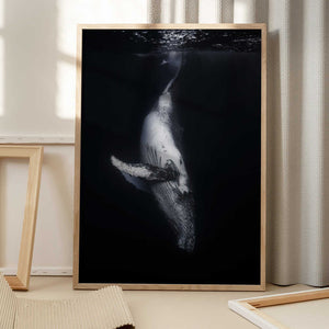 Tablou înramat „Black Whale” de Barathieu Gabriel