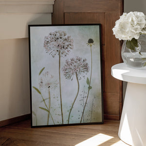 Tablou înramat „Allium” de Mandy Disher