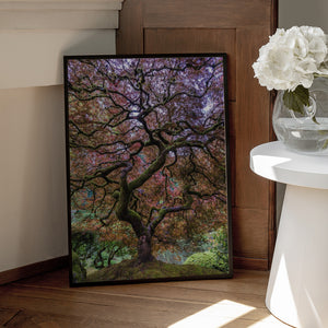 Tablou înramat „Japanese Maple Tree” de Mike Centioli