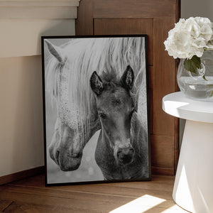 Tablou înramat „The Foal” de Jacky Parker