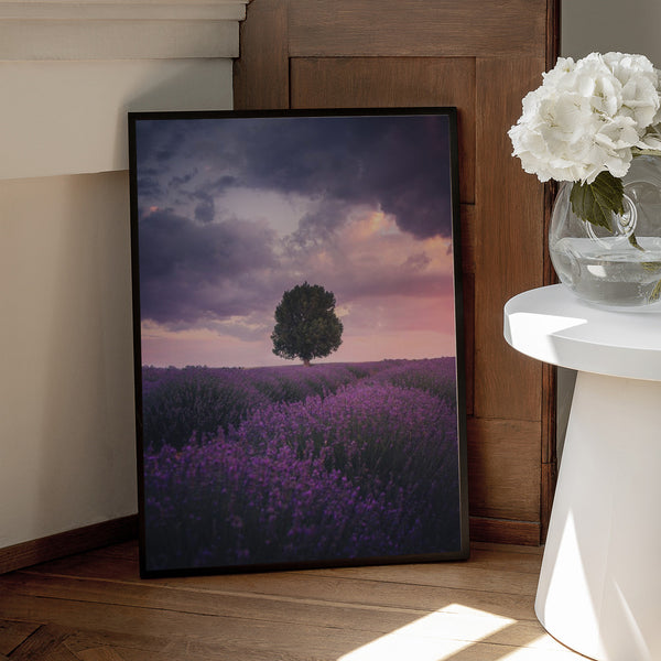 Tablou înramat „Lavender Fields, Isparta” de Cuma Cevik