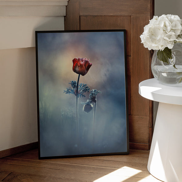 Tablou înramat „Where poetry and memories remain” de Fabien BRAVIN