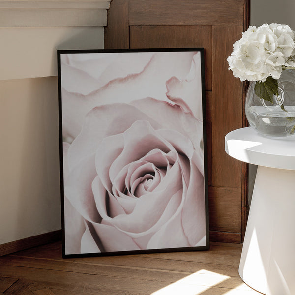 Tablou înramat „Pink Rose No 05” de Pictufy Studio III