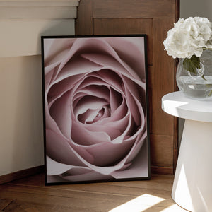 Tablou înramat „Pink Rose No 04” de Pictufy Studio III