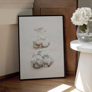 Tablou înramat „Shells” de Pictufy Studio III