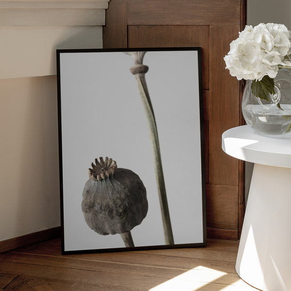 Tablou înramat „Dried_005” de Pictufy Studio III