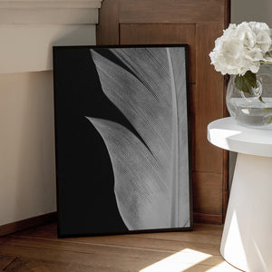 Tablou înramat „Feather_005” de Pictufy Studio III