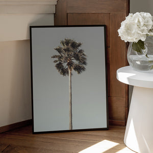 Tablou înramat „Palm_001” de Pictufy Studio III