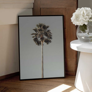 Tablou înramat „Palm_001” de Pictufy Studio III
