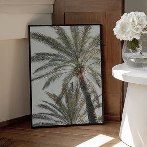 Tablou înramat „Palm_005” de Pictufy Studio III