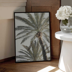 Tablou înramat „Palm_005” de Pictufy Studio III