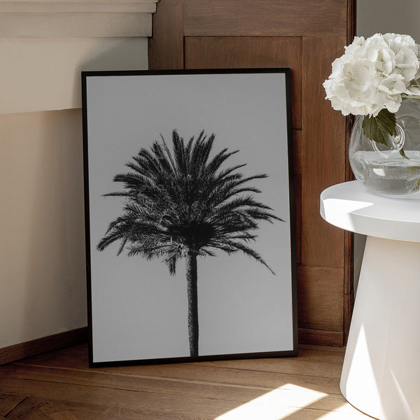 Tablou înramat „Palm_003” de Pictufy Studio III