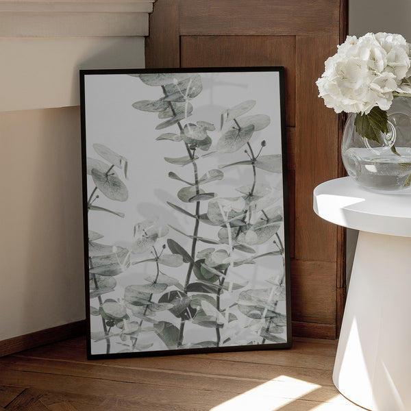 Tablou înramat „Eucalyptus_001” de Pictufy Studio III