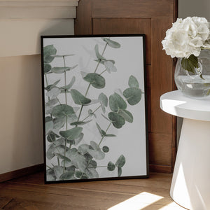 Tablou înramat „Eucalyptus_003” de Pictufy Studio III