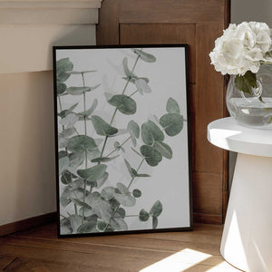 Tablou înramat „Eucalyptus_003” de Pictufy Studio III
