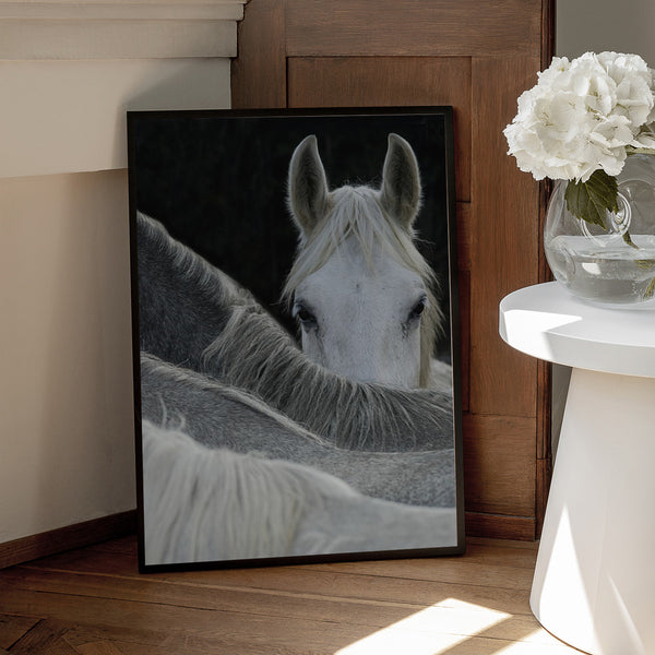 Tablou înramat „Look” de Milan Malovrh