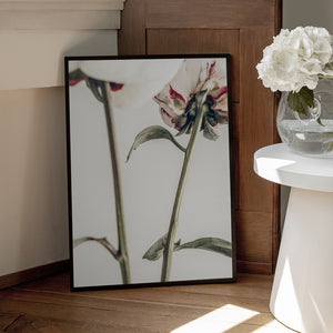 Tablou înramat „Peony 01” de Pictufy Studio III