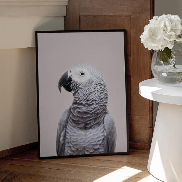 Tablou înramat „African Grey” de Kathrin Pienaar