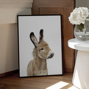 Tablou înramat „Baby Donkey” de Kathrin Pienaar
