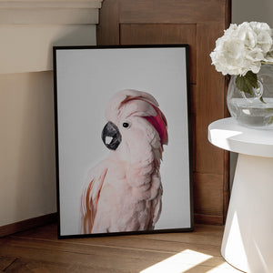 Tablou înramat „Pink Cockatoo” de Kathrin Pienaar
