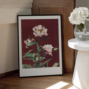 Tablou înramat „Hærdaceous Peony no2” de Ogawa Kazumasa