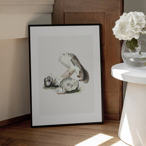 Tablou înramat „Vintage Agaricus Augustus Mushroom 50x70” de Biodiversity Heritage Library