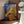 Tablou înramat „Vivid Petal Whispers” de Dorothy Fagan