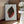 Tablou înramat „Acalypha Tricolor Leaf Illustration” de Les Plantes a Feuillage Colore